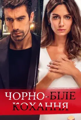 Чорно-біле кохання (2017) - постер серіалу