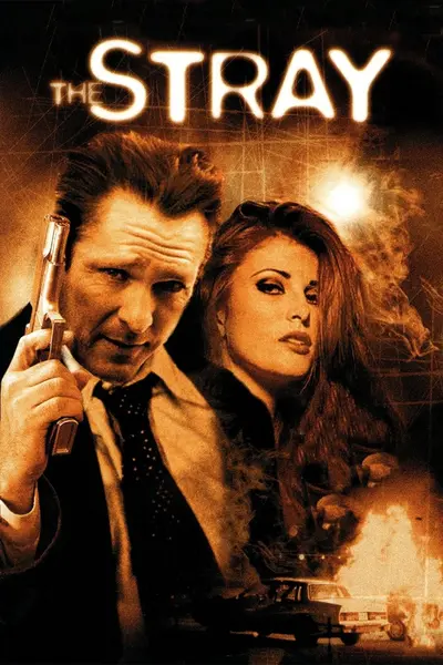 Бродяга (2000) - постер фільму