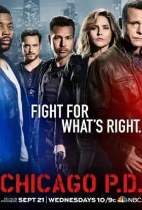 Поліція Чикаго (2014) - постер серіалу