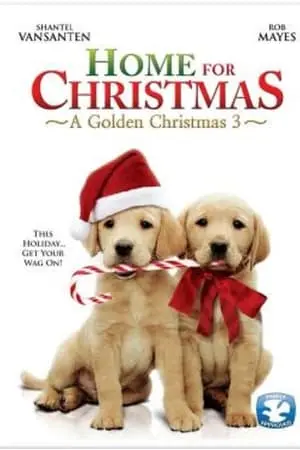 Кохання на Різдво (2012) - постер фільму