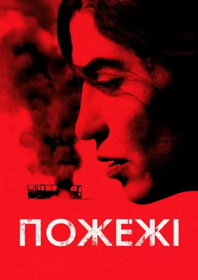 Пожежі (2010) - постер фільму