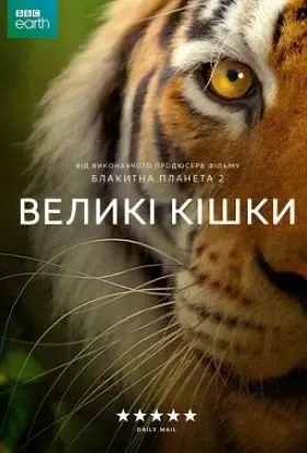 Великі кішки (2018) - дивитись онлайн