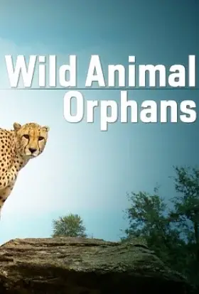 Сироти дикої природи (2012) - дивитись онлайн