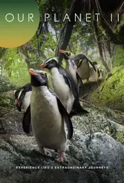 Наша планета