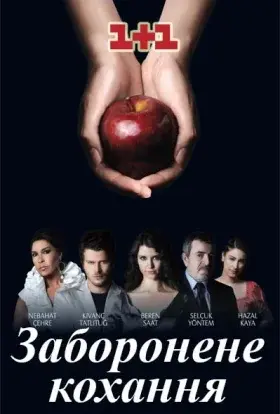 Заборонене кохання (2009) - постер серіалу