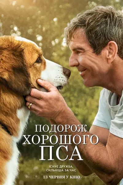 Подорож хорошого пса (2019) - постер фільму