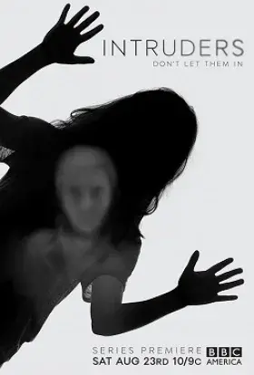 Зловмисники (2014) - постер серіалу