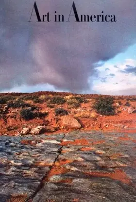 Мистецтво Америки (2011) - постер серіалу