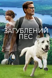 Загублений пес