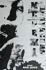 Полуденні мережі