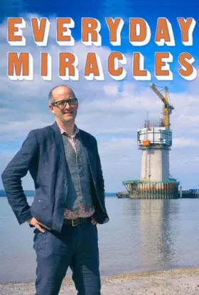 Повсякденні дива (2014) - постер серіалу