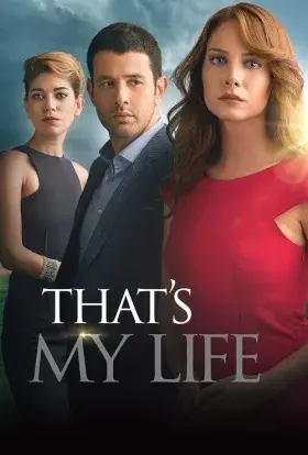 Моє чуже життя (2014) - постер серіалу