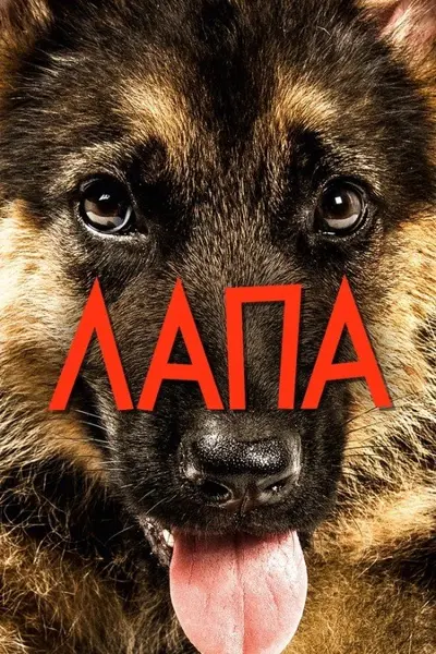 Лапа (2015) - постер фільму