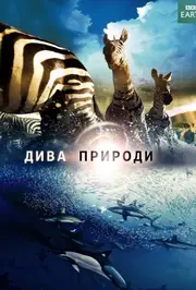 Дива природи / Бі-Бі-Сі Найвеличніші події живої природи