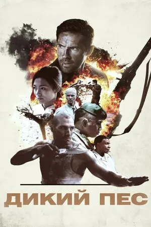 Дикий пес (2017) - постер фільму