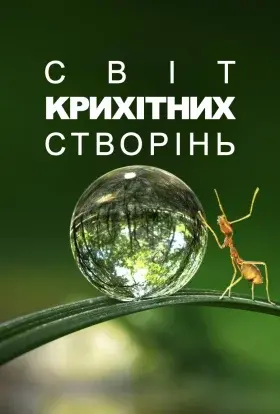 Крихітний світ (2020) - постер серіалу