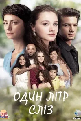 Один літр сліз (2018) - постер серіалу