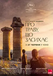 Про траву, що засихає