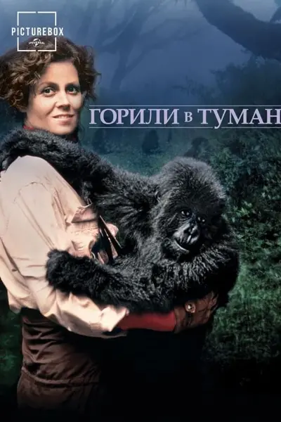 Горили в тумані / Горили в тумані: Історія Дайан Фоссі (1988) - постер фільму
