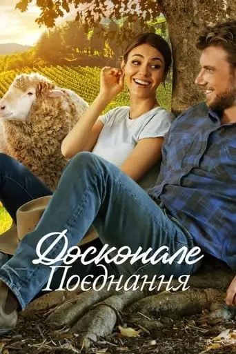 Досконале поєднання (2022) - постер фільму