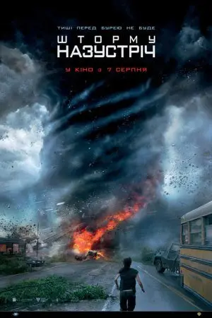 Шторму назустріч (2014) - постер фільму
