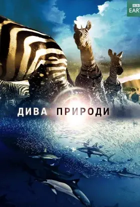Дива природи / Бі-Бі-Сі Найвеличніші події живої природи (2009) - дивитись онлайн