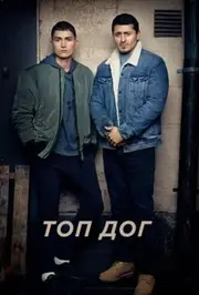 Топ Дог