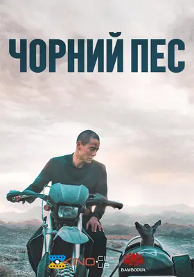 Чорний пес