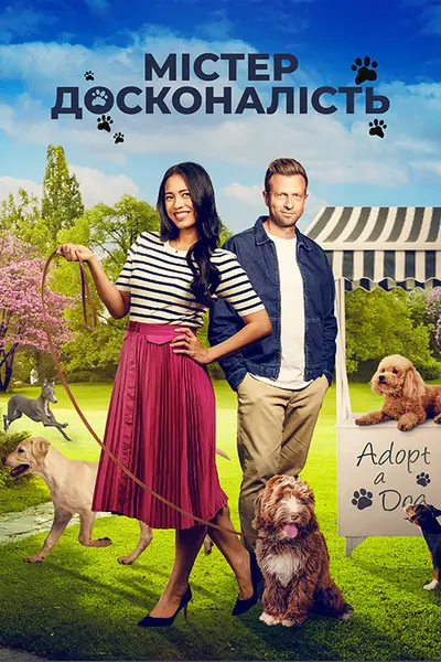 Позитивна досконалість / Містер Досконалість (2023) - постер фільму