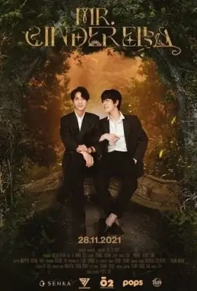 Містер Попелюшка (2021) - дивитись онлайн