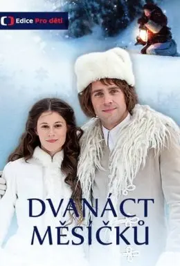 Дванадцять місяців (2012) - постер фільму