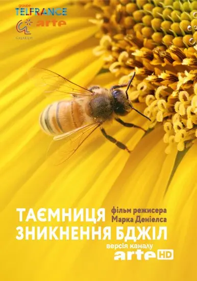 Таємниця зникнення бджіл (2010) - постер фільму