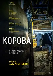 Корова