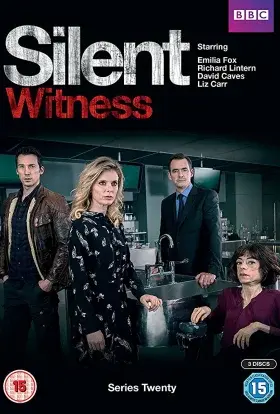 Мовчазний свідок (2010) - постер серіалу