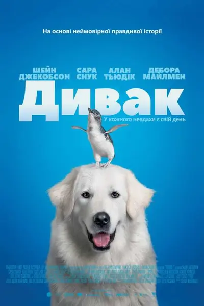 Дивак (2015) - постер фільму