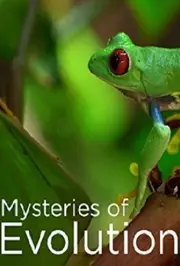 Таємниці еволюції