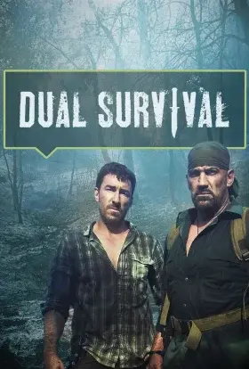 Шукачі неприємностей (2010) - постер серіалу