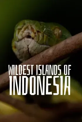 Дуже дика Індонезія (2016) - дивитись онлайн