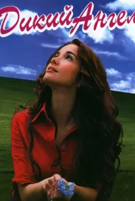 Дикий ангел / Дикий янгол (1998) - постер серіалу