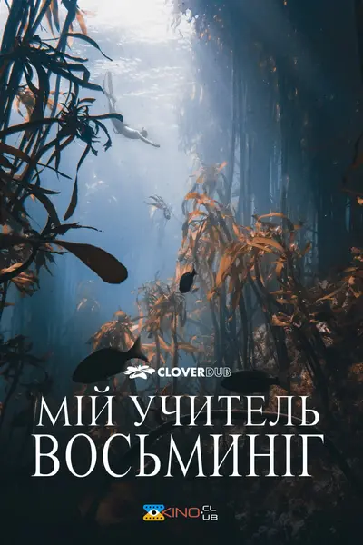 Мій учитель — восьминіг (2020) - постер фільму
