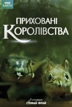 Приховані королівства (2014) - дивитись онлайн