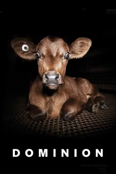Домініон (2018) - постер фільму