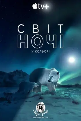 Кольори нічної планети (2021) - постер серіалу