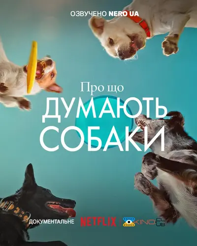 Про що думають собаки (2024) - постер фільму