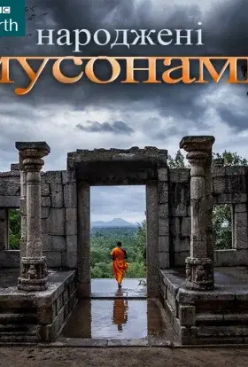 Народжені мусонами (2014) - дивитись онлайн