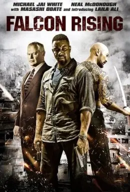 Сходження Сокола (2014) - постер фільму