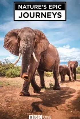 Найбільші в світі міграції / Найбільші міграції в природі (2016) - постер серіалу