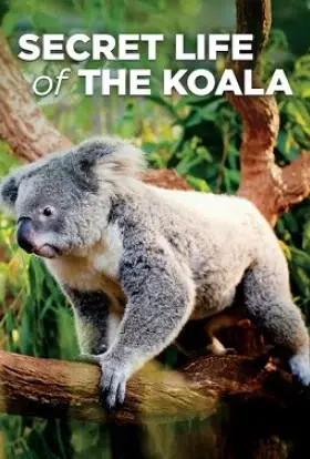 Коала, таємне життя (2016) - дивитись онлайн
