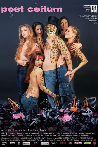 Після сексу (2004) - постер фільму