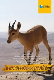 Дивовижний Ізраїль